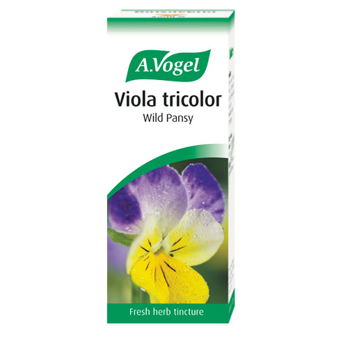 Viola Tricolor  - Wild Pansy Drops