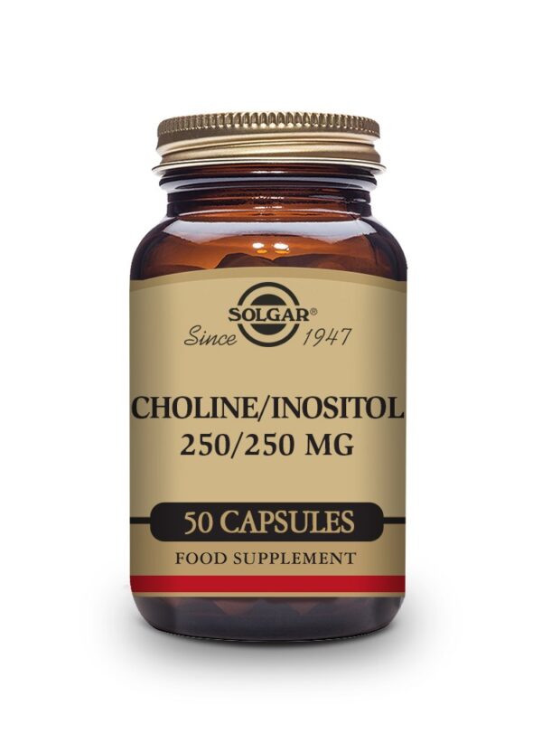 Solgar Choline/Inositol 250/250 mg