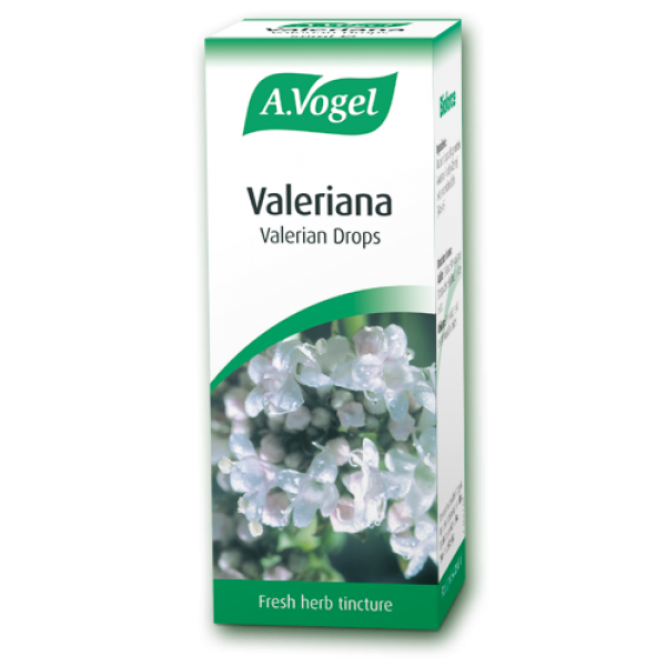 Valeriana officinalis